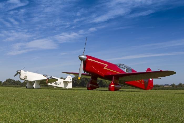 The two Mew Gulls at rest on the Old Warden turf. They first appeared together during the Race Day display in October 2014.