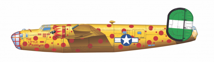 B-24 livery