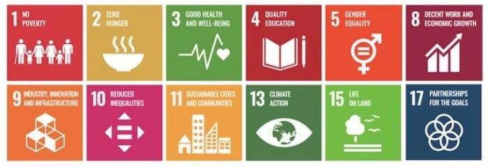 Impact SDG Areas of Focus