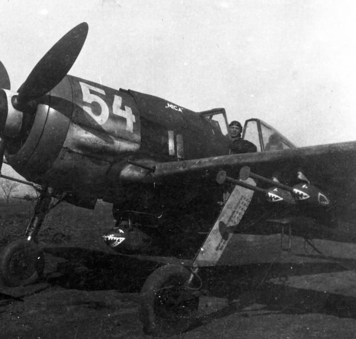 A rare image of an Fw 190 in Hungarian service