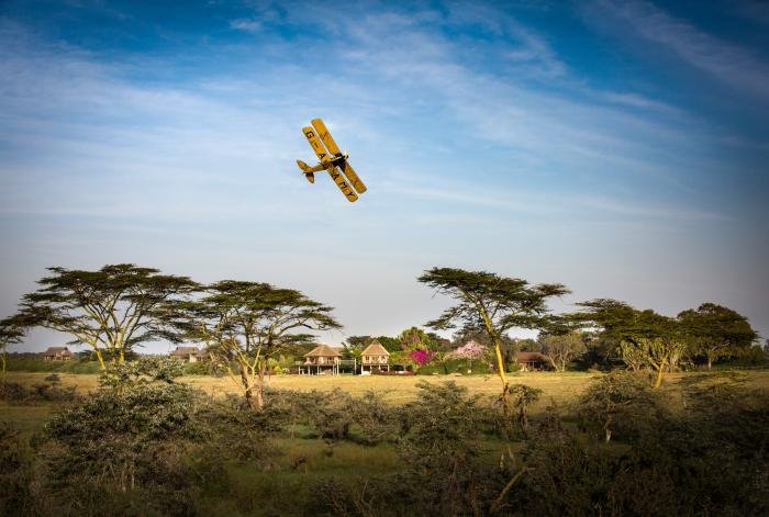 Proceeds from the sale of the DH60 will go towards rhino conservation in central Africa.