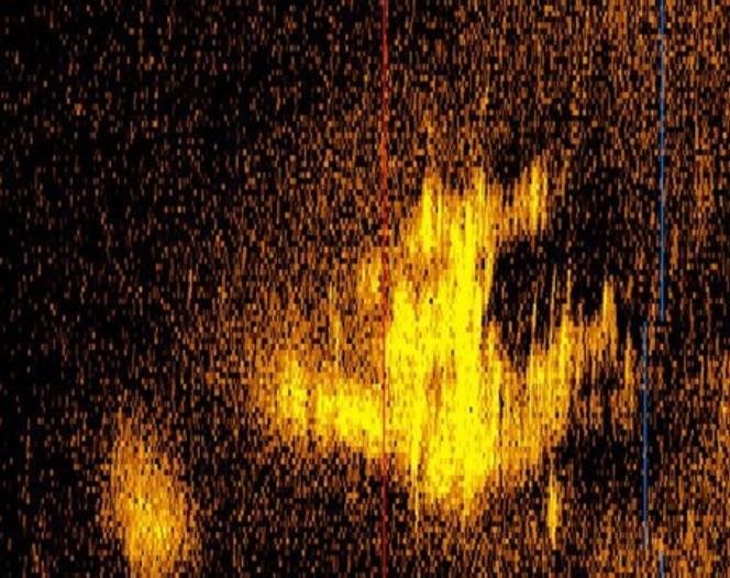 The new sonar image - could it show Amelia Earhart’s long-lost Lockheed 10-E Electra Special?