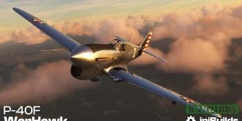 iniBuilds P-40 Warhawk