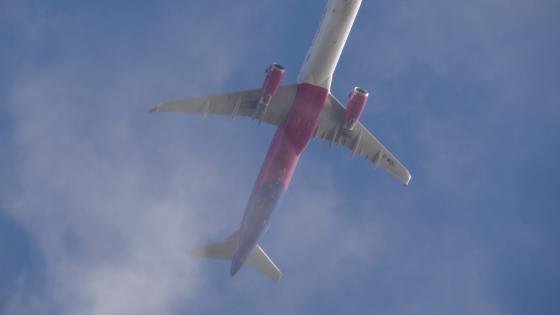 Wizz Air/Steve Hall